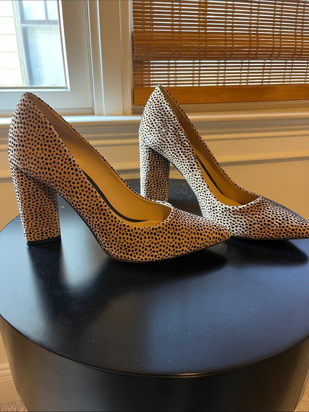 Gianni Bini Pointed Block Heel Pumps in Cream with Black Dot Print - Size 8.5